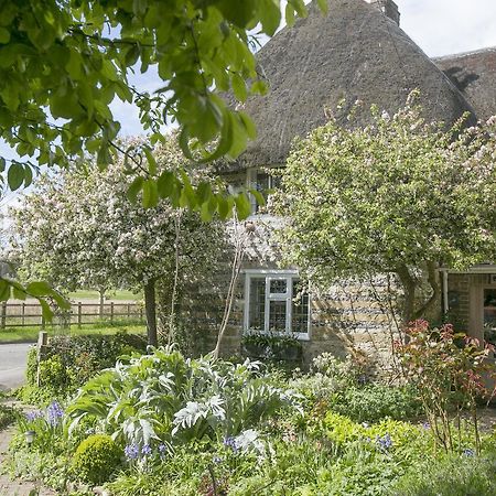 Tudor Cottage B&B Frampton Дорчестер Экстерьер фото