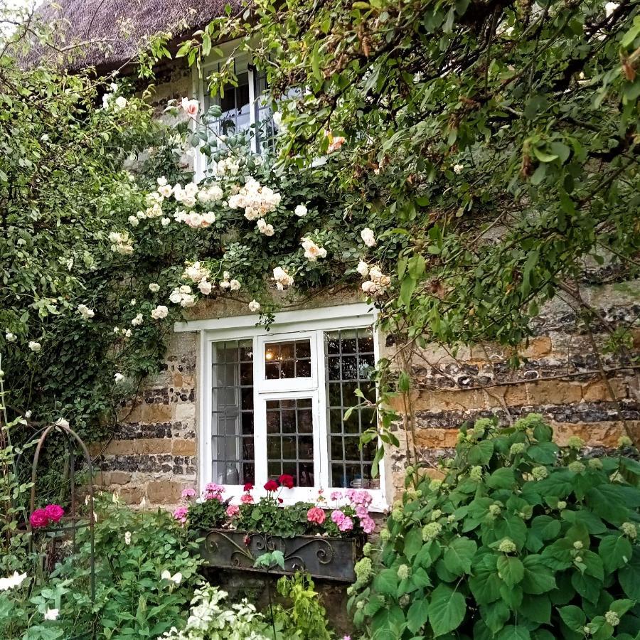 Tudor Cottage B&B Frampton Дорчестер Экстерьер фото