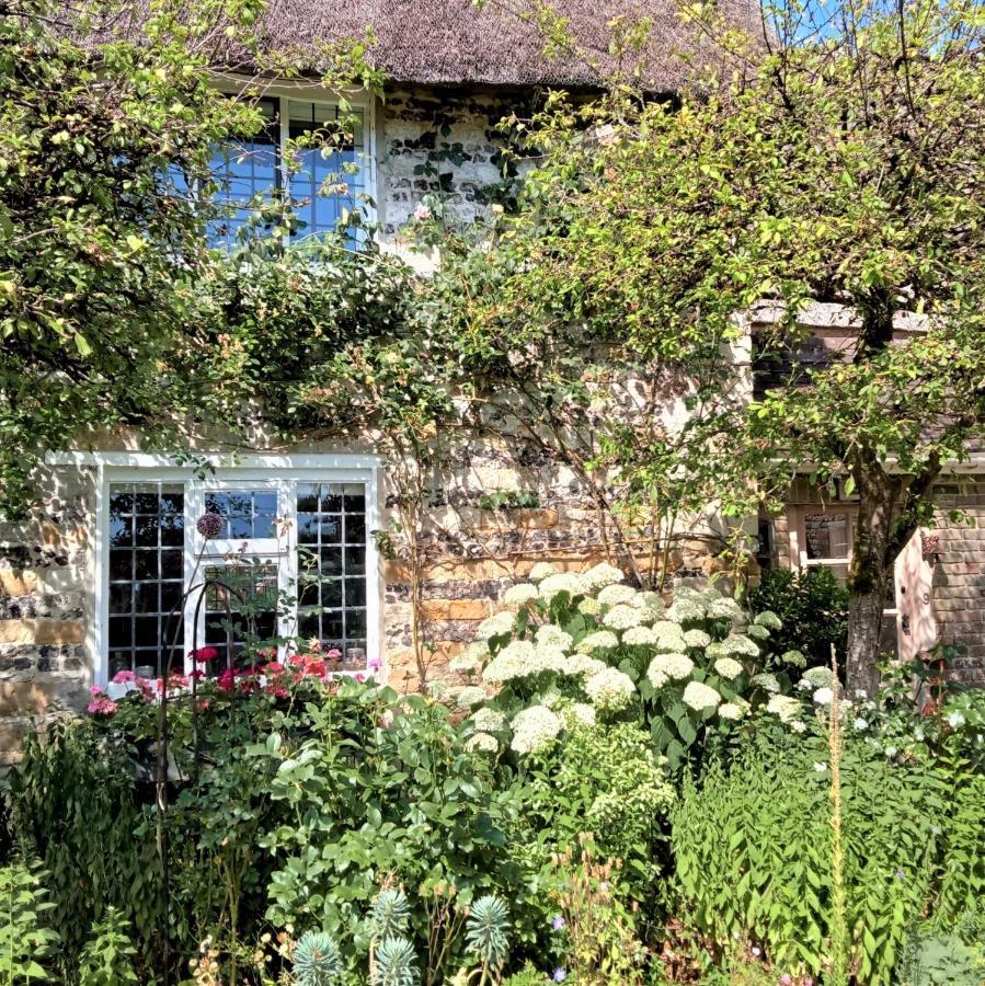 Tudor Cottage B&B Frampton Дорчестер Экстерьер фото