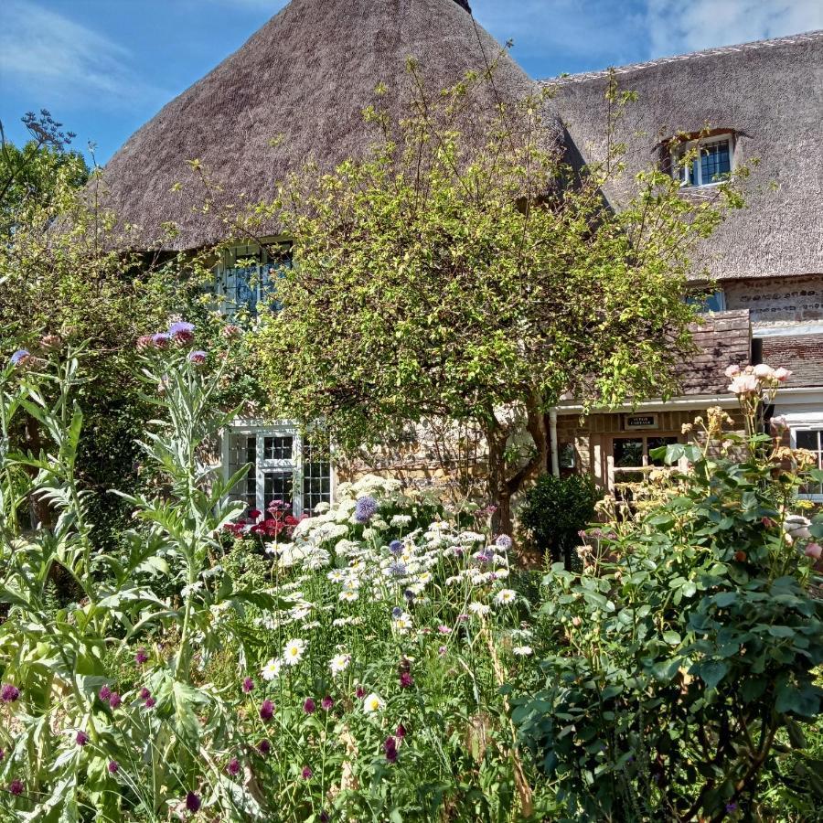 Tudor Cottage B&B Frampton Дорчестер Экстерьер фото