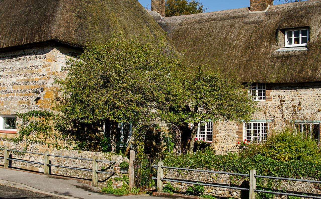 Tudor Cottage B&B Frampton Дорчестер Экстерьер фото